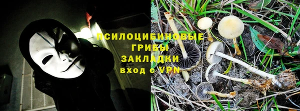 2c-b Абдулино